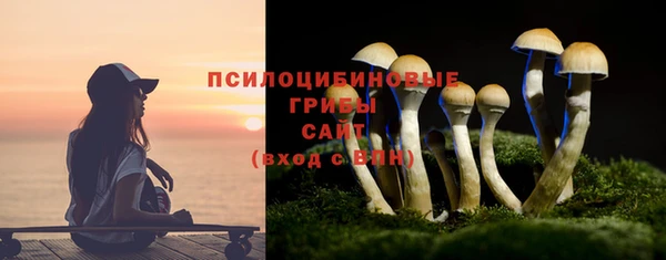 тгк Лиски