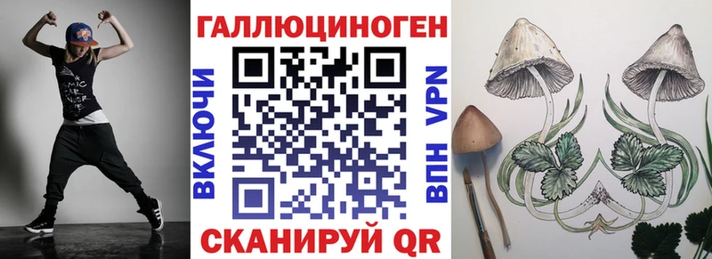 как найти   Новоульяновск  Галлюциногенные грибы Psilocybe 